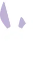 rabbitdesign